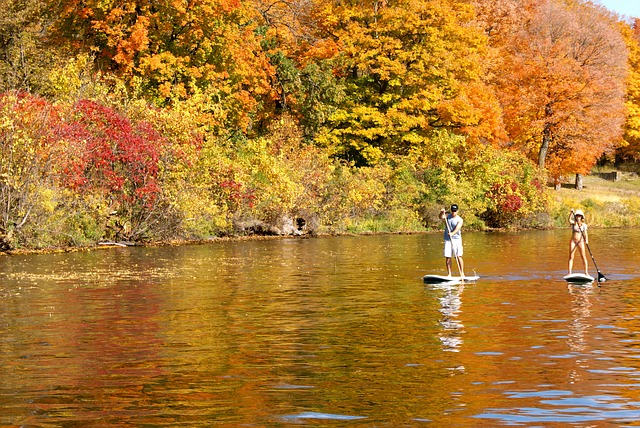 Couple on stand up paddle boards on a lake in the Fall