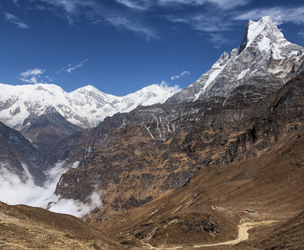 Wellness treks in the Himalayas